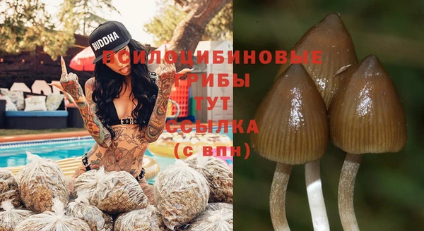 СК Бородино
