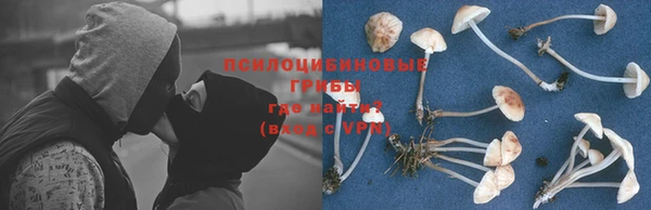 эйфоретик Бугульма