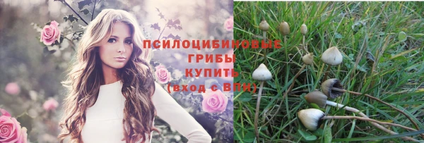 альфа пвп Богданович